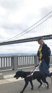 A photo of Shauna and her guide dog, Barney, working in San Francisco. Shauna  has shoulder length blonde hair, and is wearing a black ball cap, a long sleeved black top, and blue pants. Barney is A male black Labrador retriever and is wearing his guide dogs for the blind harness, leather leash, and Martingale collar. Shauna and Barney are walking along a walkway, with the bay bridge in the background.