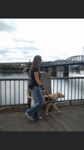 A photo of Shauna and Orion, taken in August 2009 in Portland, Oregon. Orion  is a yellow Labrador retriever and is wearing his GDB harness and leash. Shauna  has long brown hair, and is wearing sunglasses, a black T-shirt, blue jeans, and white running shoes. Shauna and Orion  are walking along a walkway, with the waterway, and the Hawthorne Bridge in the background. This photo is a side shot of handler and guide dog working.