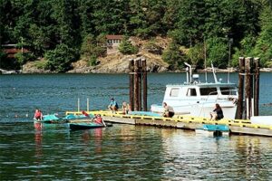 A serene bayside scene on a clear summer day, featuring a dock with several people engaged in leisure activities. Some are sitting on the dock while others paddle small boats. A larger boat is moored at the dock, and the backdrop is a lush, green forested hillside. The overall atmosphere is peaceful and recreational.